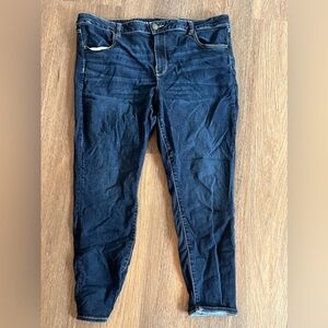 American Eagle Plus Size Skinny Jeans
